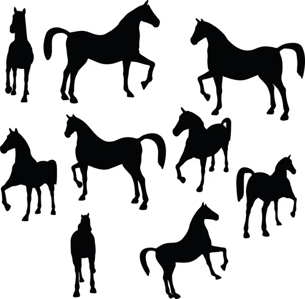 Silhouette in show horse pose — Stock Vector