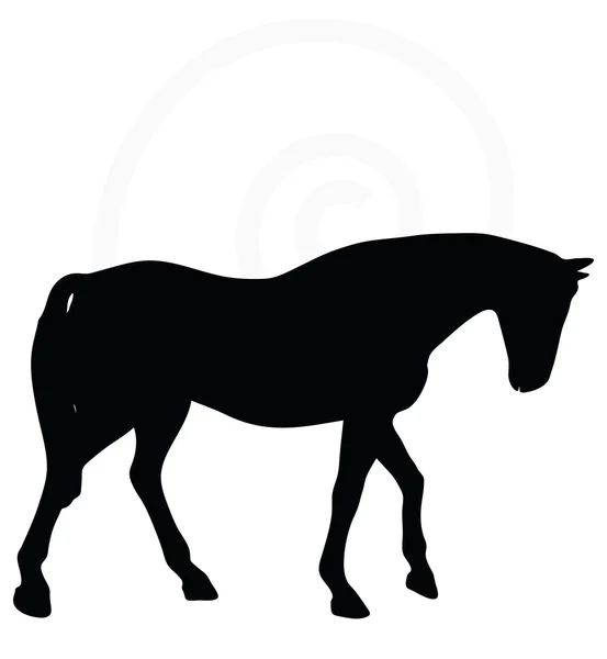 Silueta de caballo en la cabeza caminando hacia abajo — Vector de stock