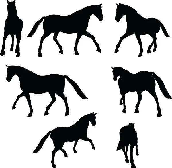 Horse silhouette in parade walk pose — Stock Vector