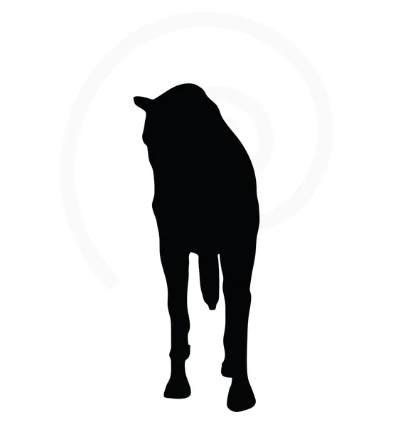 Horse silhouette in walking head down — Stock Vector