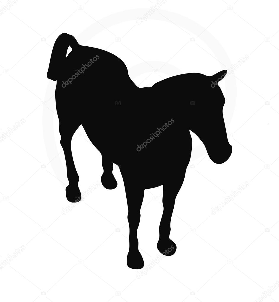 horse silhouette isolated on white