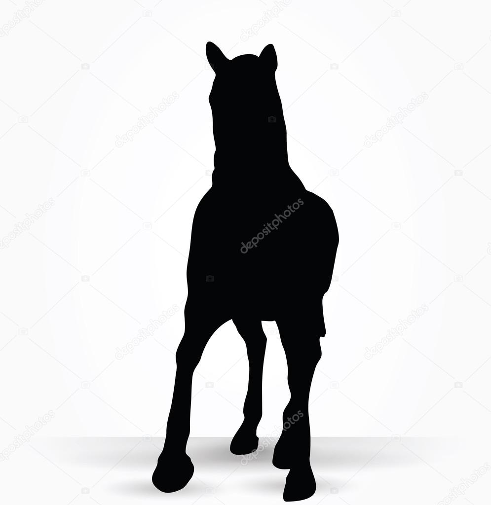 horse silhouette in parade walk pose 