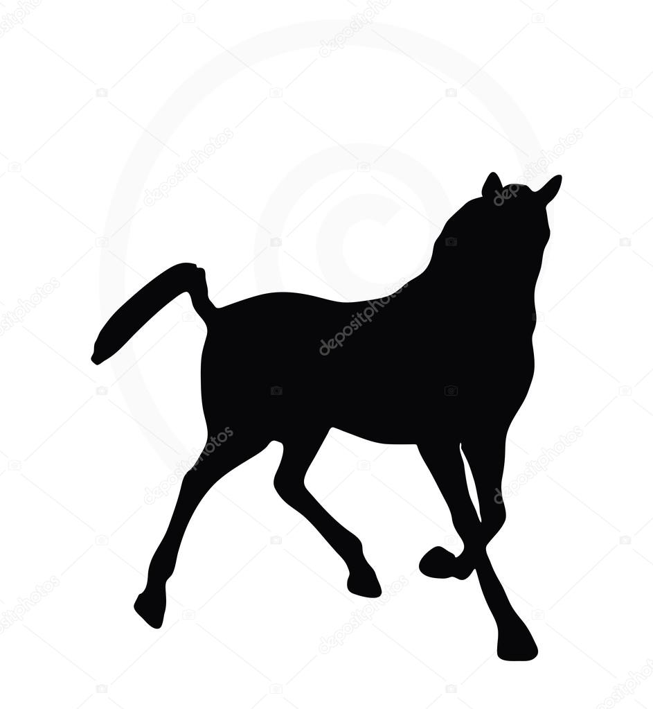 horse silhouette in looking good pose