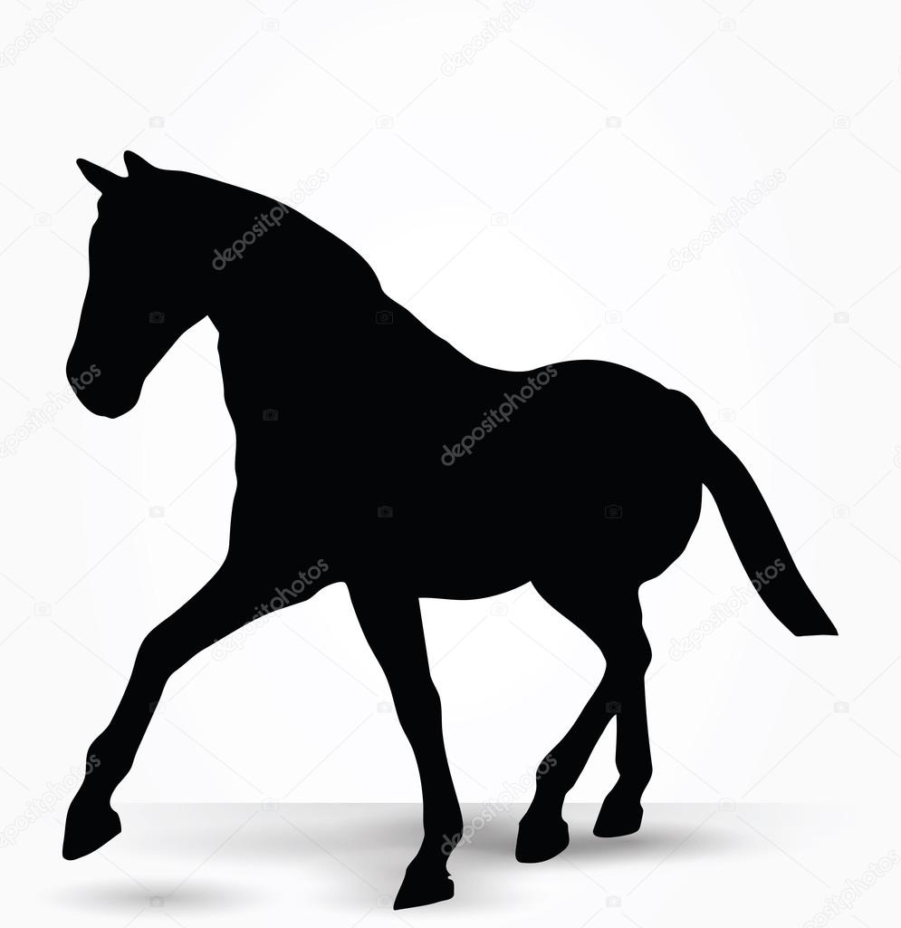 horse silhouette in parade walk pose 