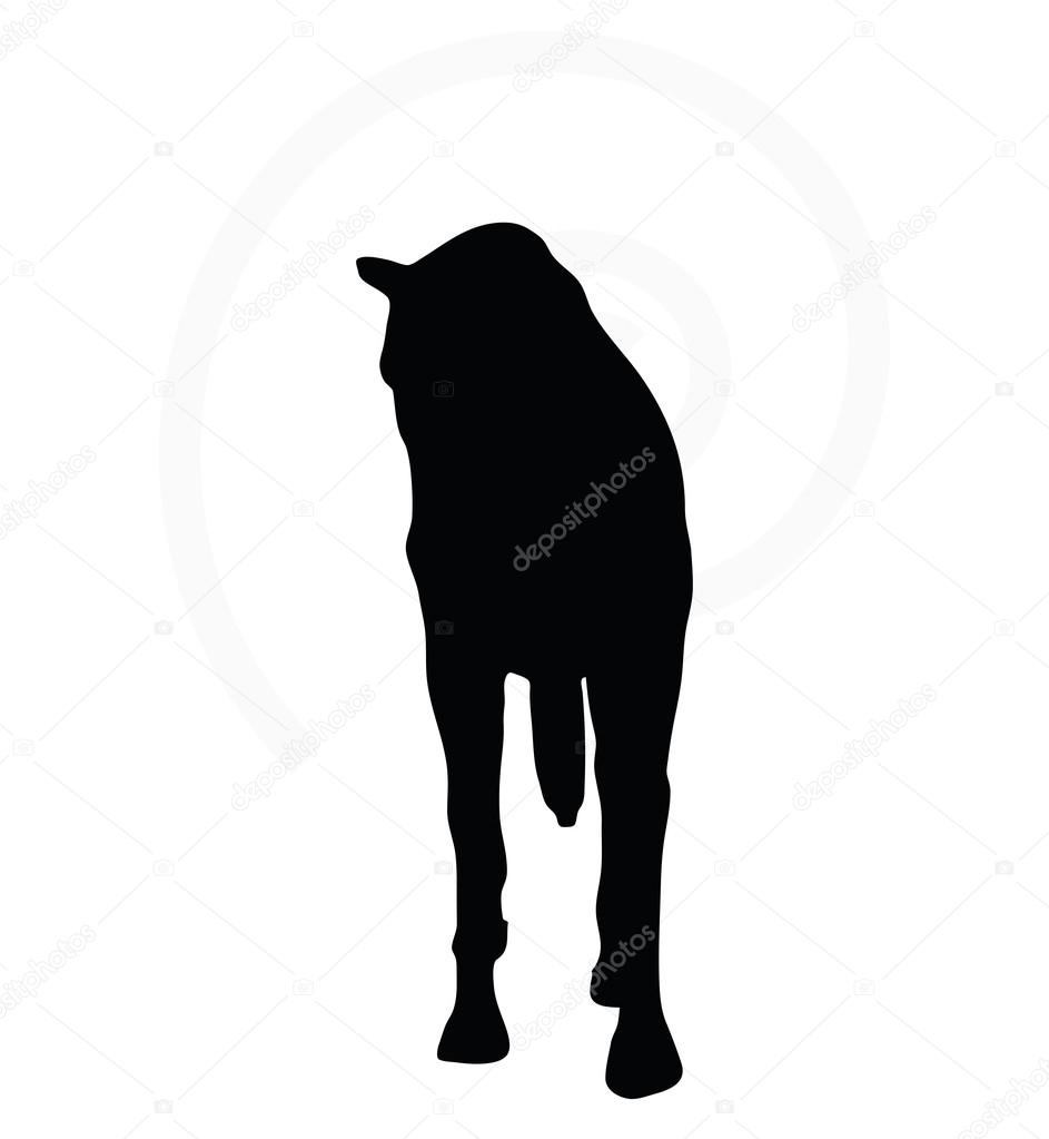 horse silhouette in walking head down