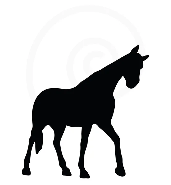 Sylwetka konia w chodzeniu głowę poza — Wektor stockowy