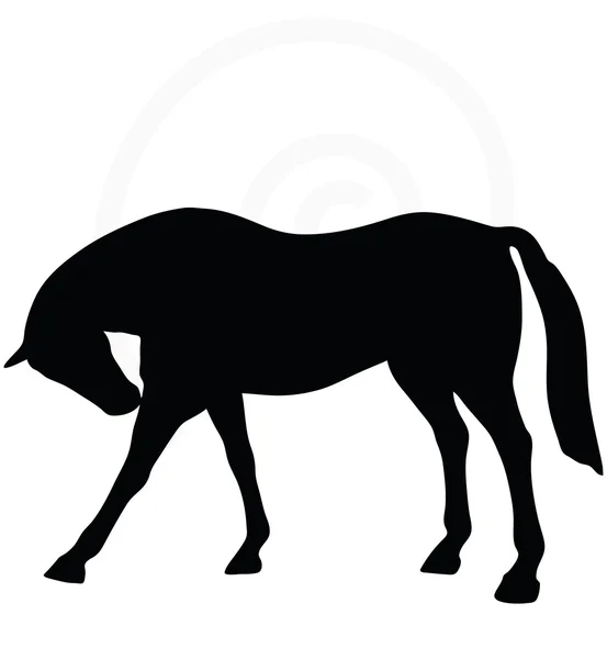 Paard silhouet in staande rond pose — Stockvector