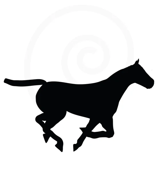 Sílhueta de cavalo isolada sobre branco —  Vetores de Stock