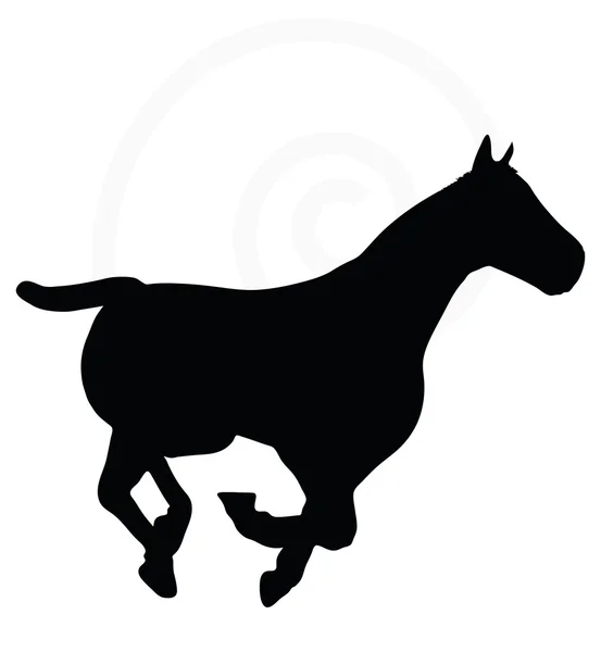 Silhouette de cheval isolée sur blanc — Image vectorielle