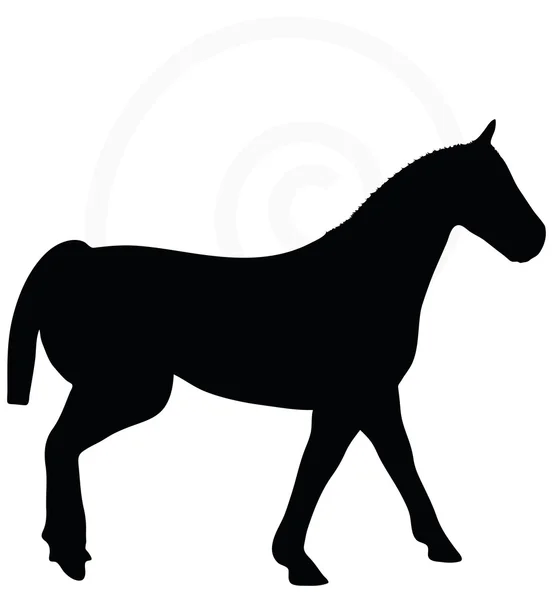 Silueta de caballo aislada en blanco — Vector de stock