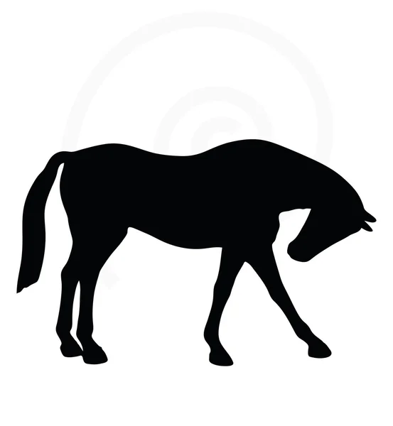 Silhouette de cheval debout autour de la pose — Image vectorielle