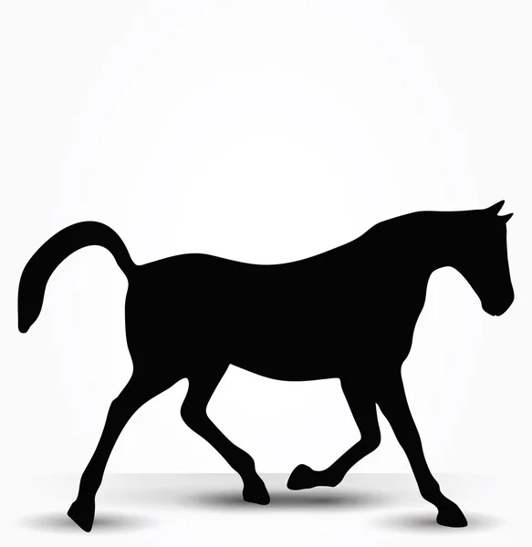 Silueta de caballo en prancing pose a pie — Vector de stock