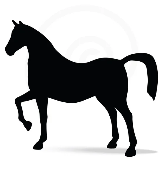 Silueta en pose de caballo espectáculo — Vector de stock