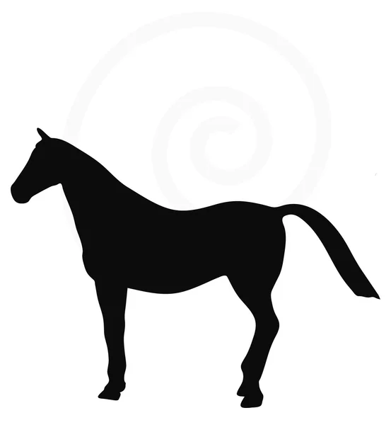 Calligraphical 羽άλογο σιλουέτα που απομονώνονται σε λευκό — Διανυσματικό Αρχείο