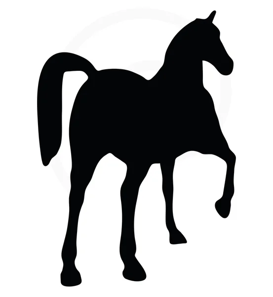 Silhouet in Toon paard pose — Stockvector