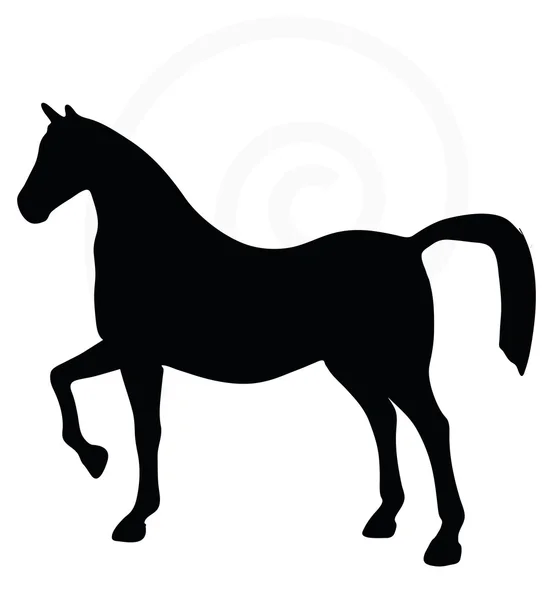 Silueta de caballo aislada en blanco — Vector de stock