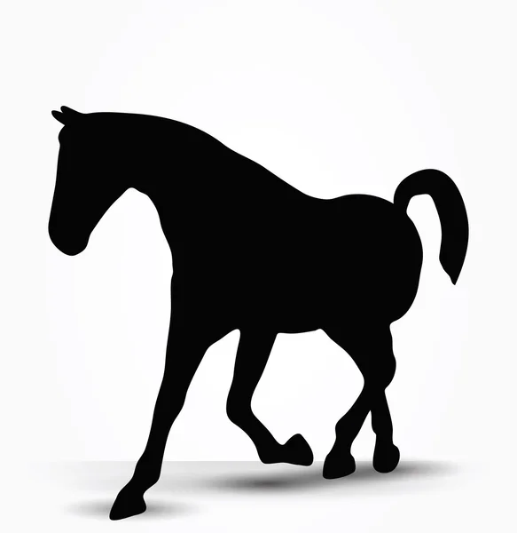 Silueta de caballo en prancing pose a pie — Vector de stock