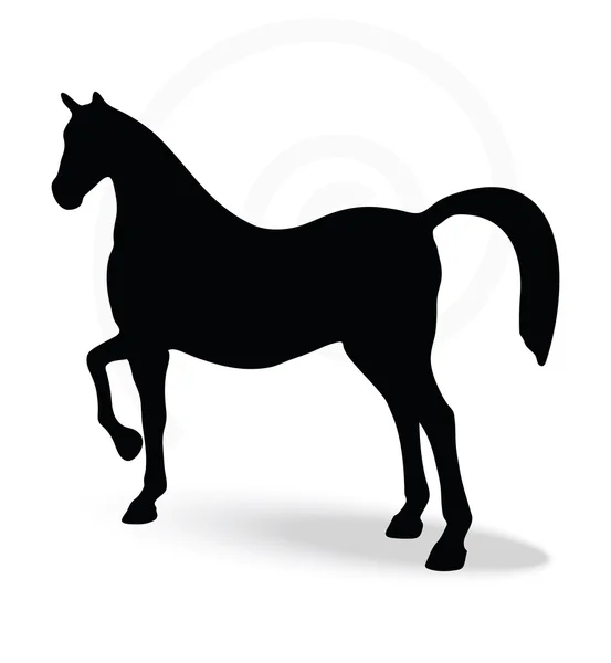 Silueta en pose de caballo espectáculo — Vector de stock