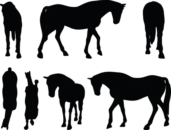 Häst silhuett i gångavstånd huvudet ner — Stock vektor