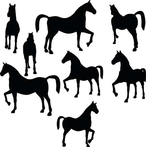 Horse silhouette isolated on white — Stock Vector