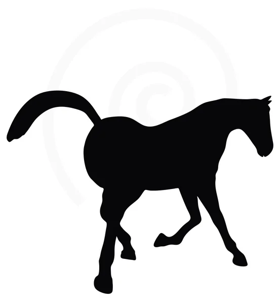 Silueta de caballo en buena pose — Vector de stock