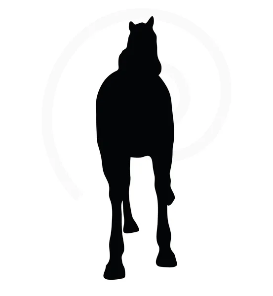 Silueta en pose de caballo espectáculo — Vector de stock