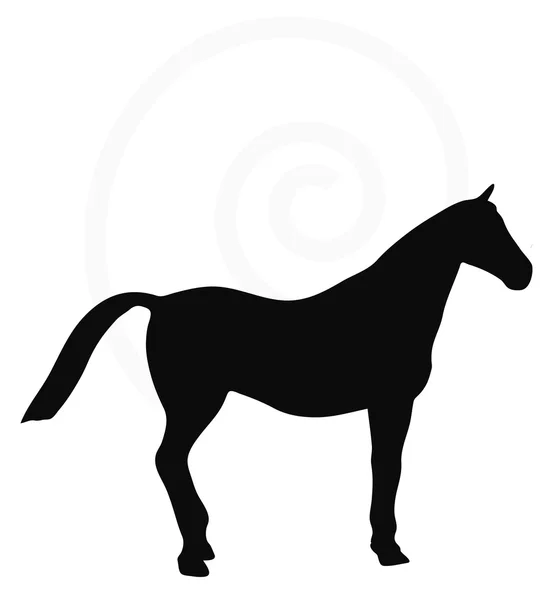 Sílhueta de cavalo isolada sobre branco — Vetor de Stock