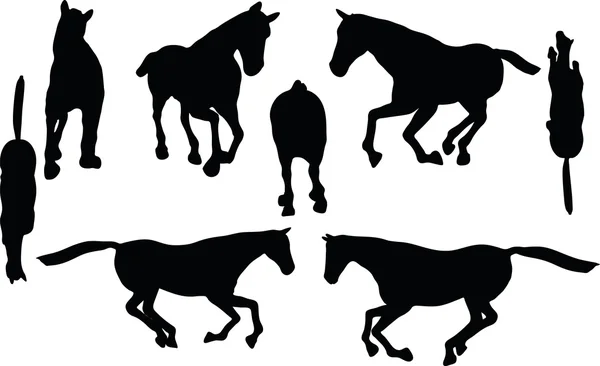 Silhouet van het paard in galop pose — Stockvector