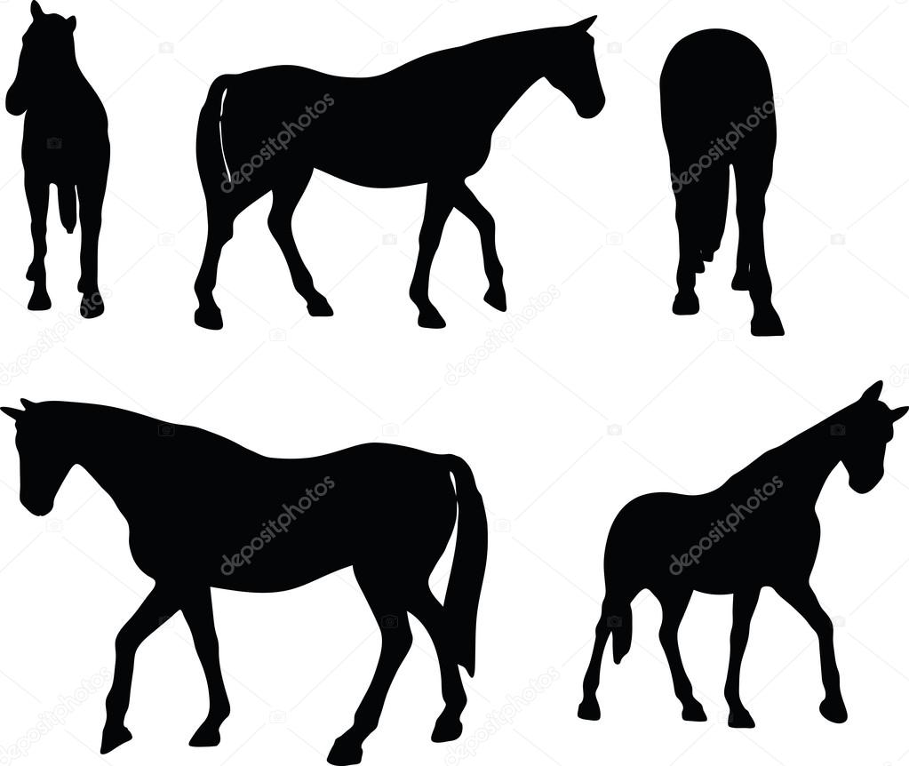 horse silhouette in walking head up pose