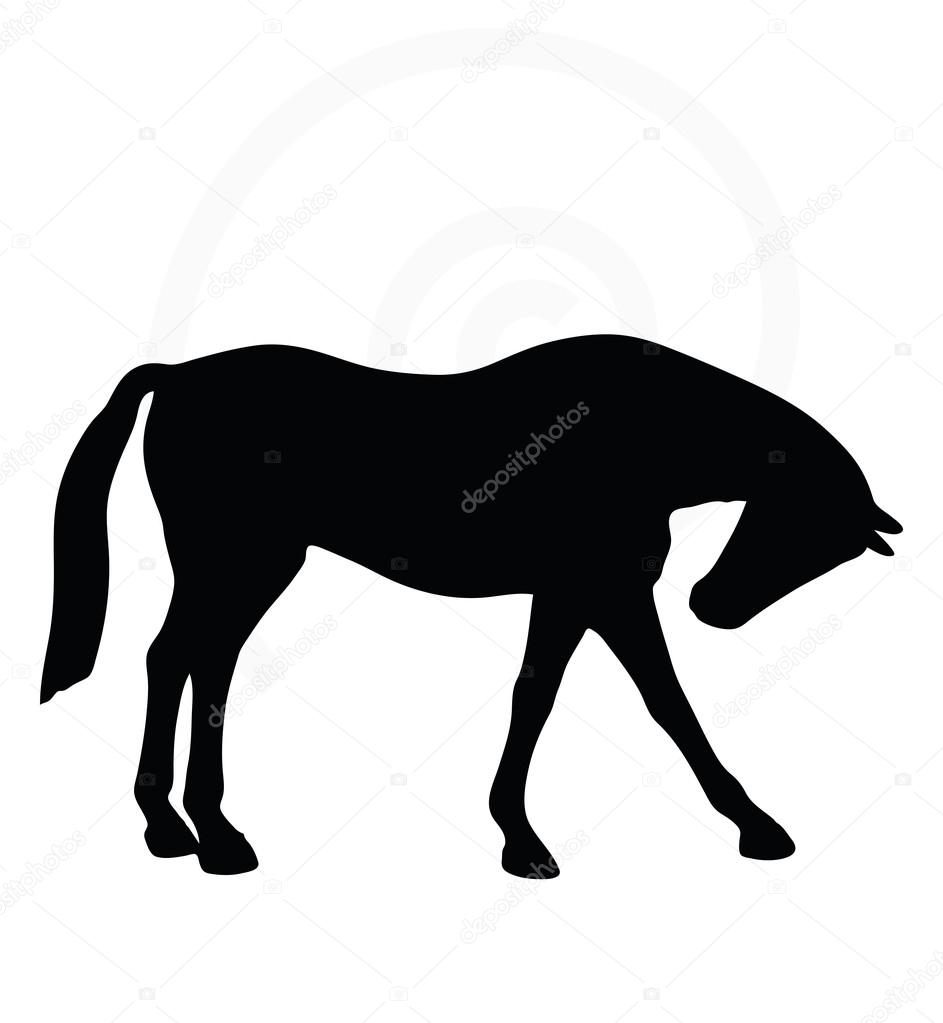 horse silhouette in standing around pose