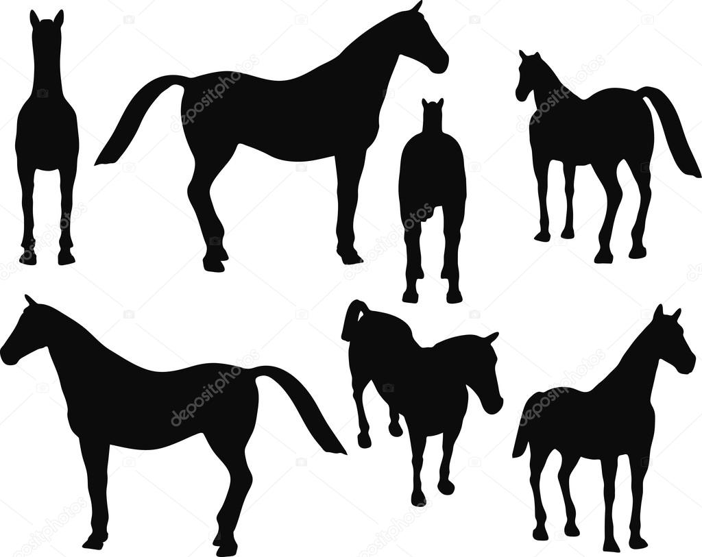 horse silhouette isolated on white