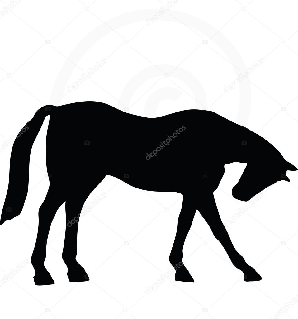 horse silhouette in standing around pose