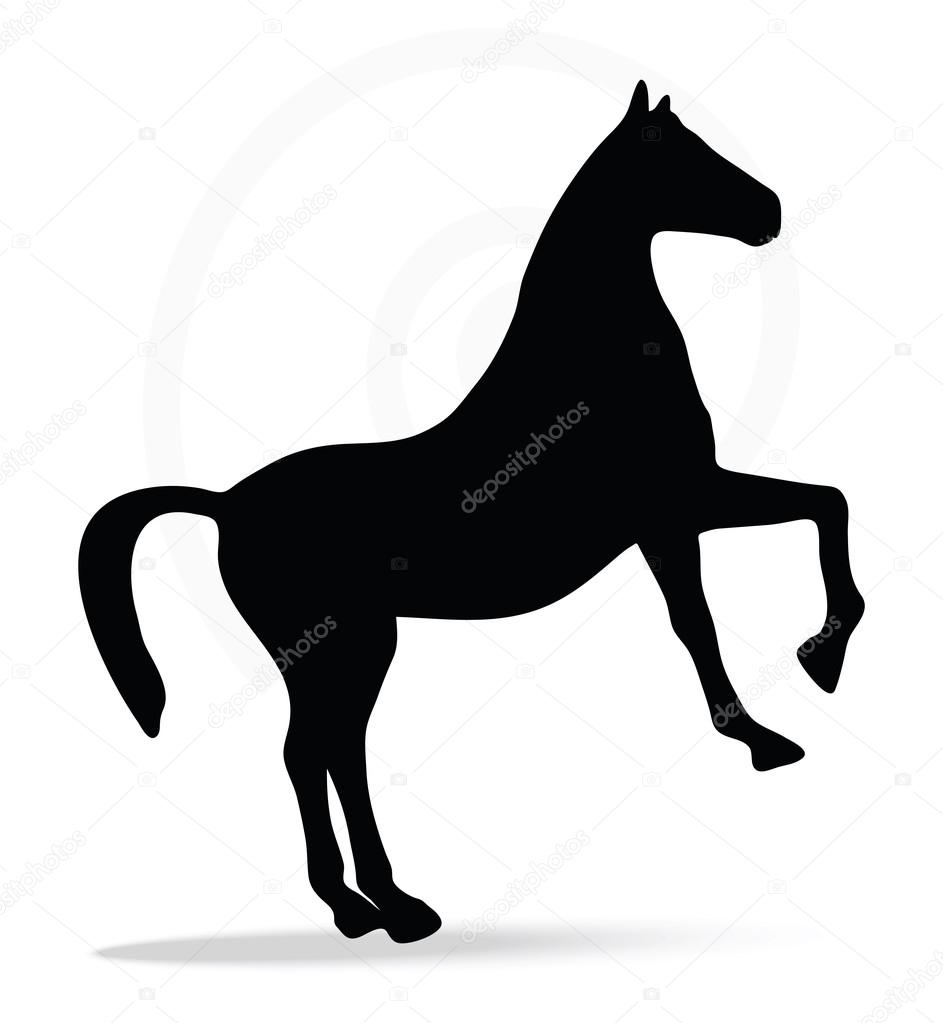 silhouette in show horse pose