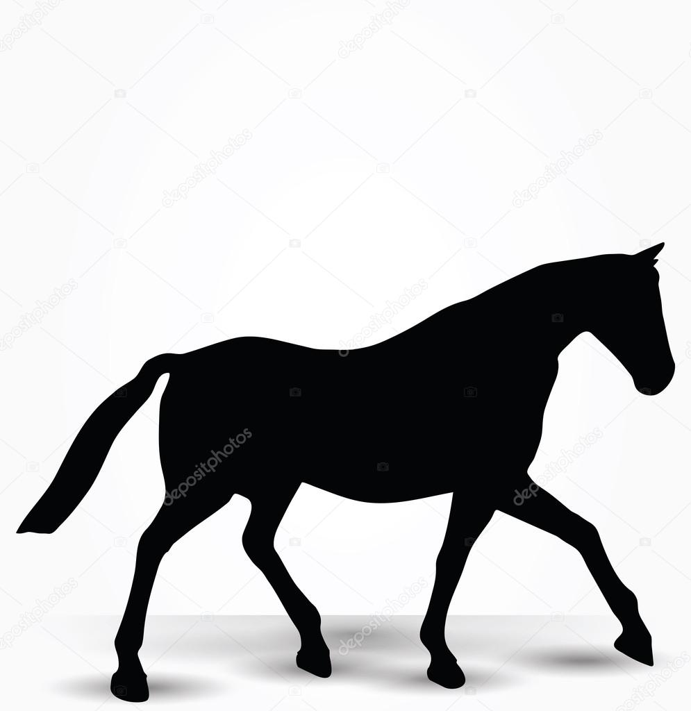 horse silhouette in parade walk pose 