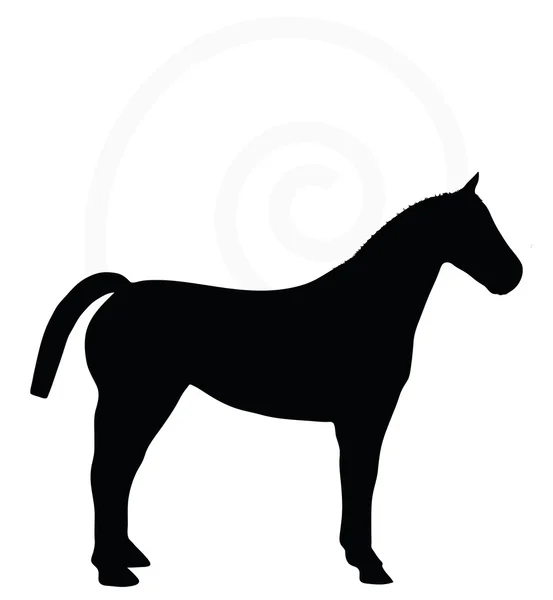 Silhouette de cheval isolée sur blanc — Image vectorielle