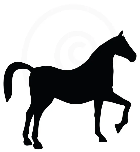 Paard silhouet geïsoleerd op wit — Stockvector