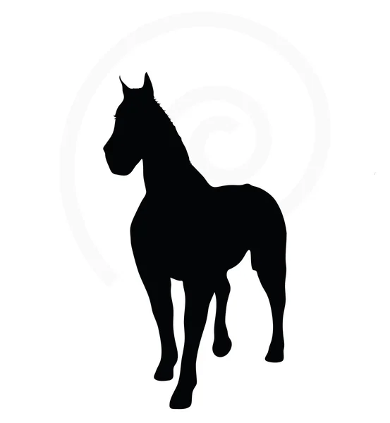 Silueta de caballo aislada en blanco — Vector de stock