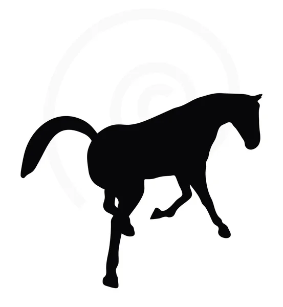 Pferdesilhouette in guter Pose — Stockvektor