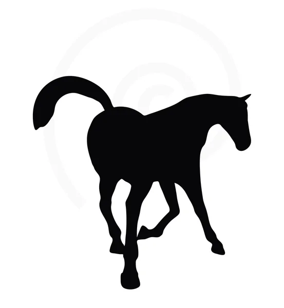 Häst silhuett i snygg utgör — Stock vektor