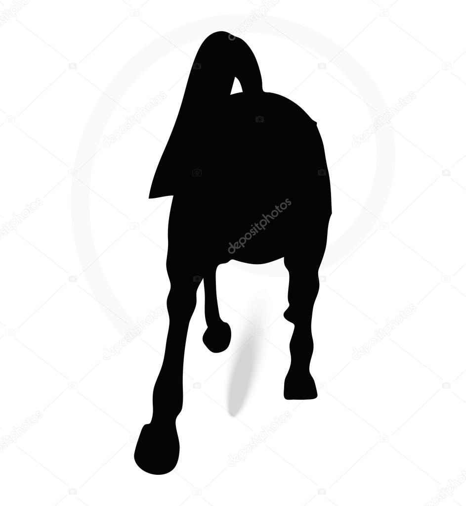 horse silhouette in running pose