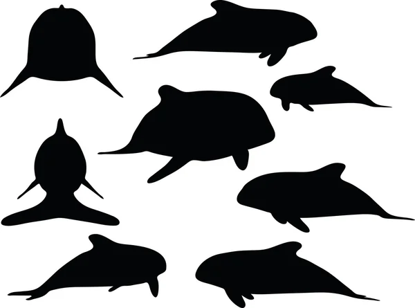 Baby animals orca silhouette — Stock Vector