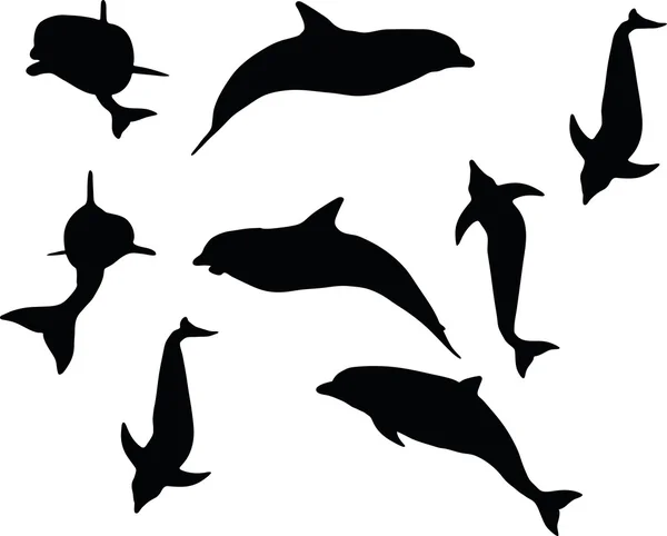 Dolphin silhouette isolated — Stock Vector