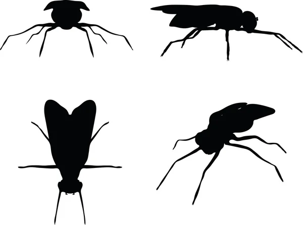 Силуэт мухи-жука — стоковый вектор