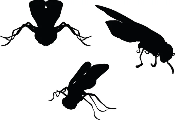 Силуэт мухи-жука — стоковый вектор