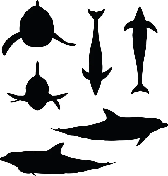 Dolphin silhouette — Stock Vector