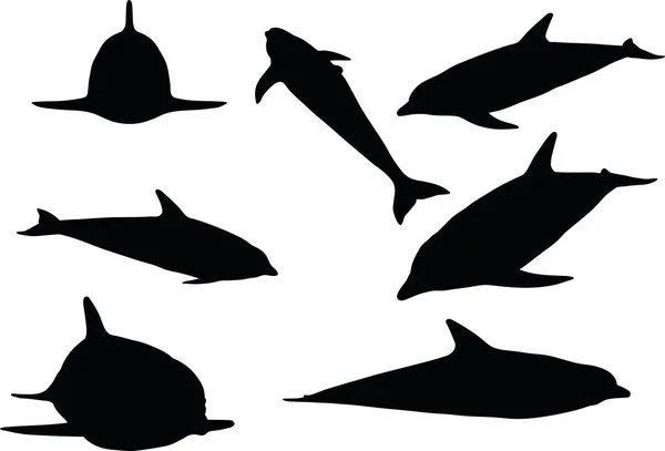 Dolphin silhouette isolated — Stock Vector