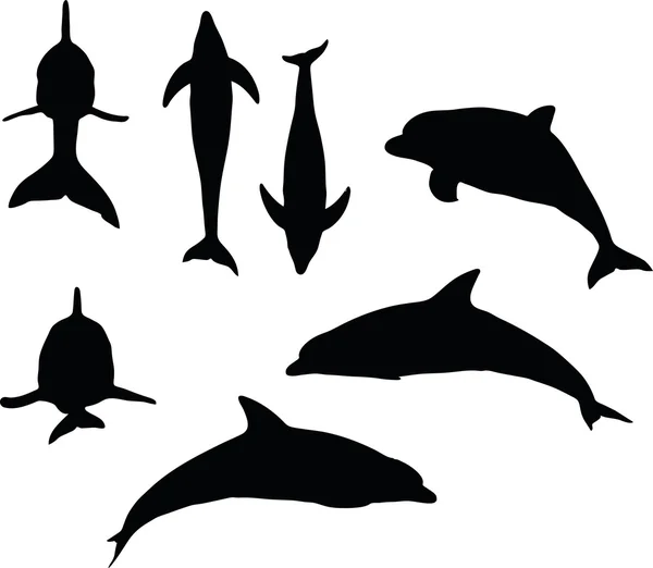 Dolphin silhouette — Stock Vector