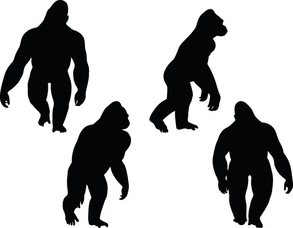 Gorilla silhouet — Stockvector