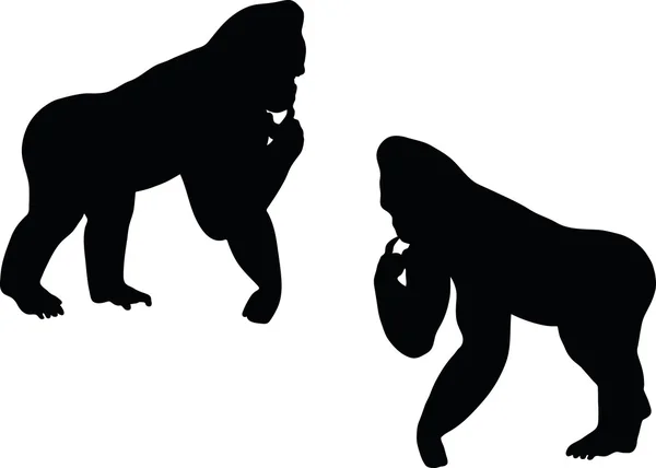 Gorilla silhouette — Stock Vector