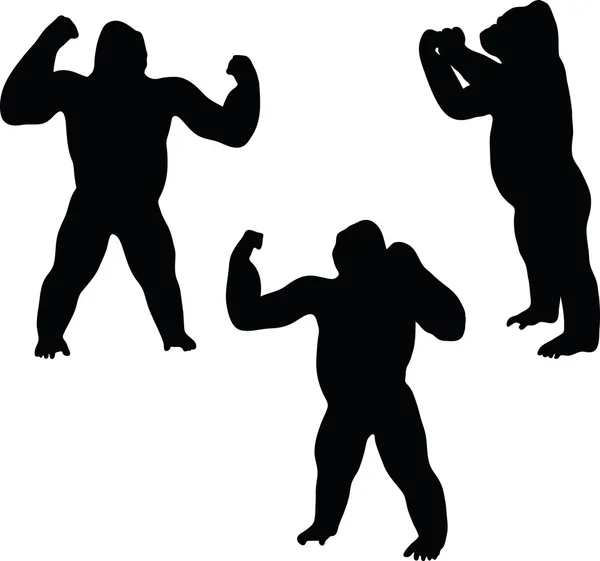 Gorilla silhouette — Stock Vector